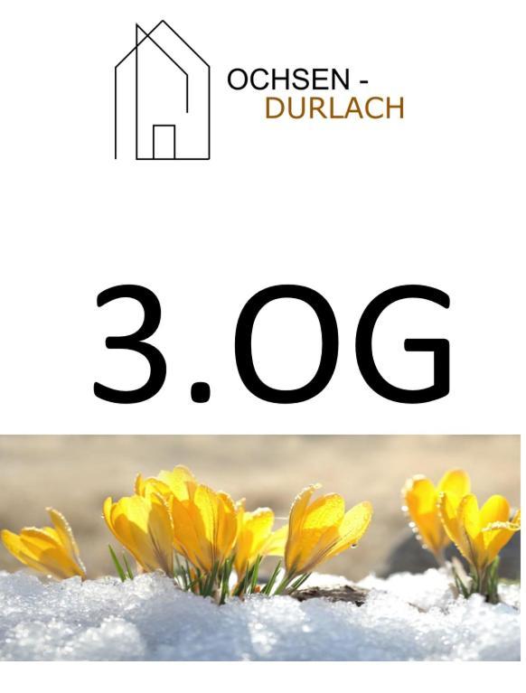 קרלסרוהה Ochsen-Durlach חדר תמונה
